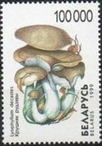 Pilz auf Briefmarke
