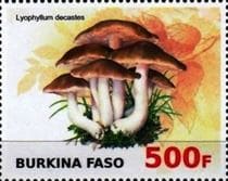 Pilz auf Briefmarke