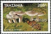 Pilz auf Briefmarke