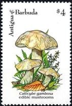 Pilz auf Briefmarke
