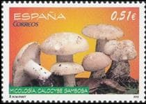 Pilz auf Briefmarke