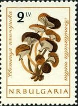 This mushroom on a stamp