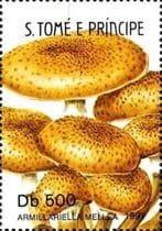 This mushroom on a stamp
