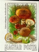 This mushroom on a stamp