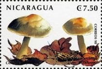 Pilz auf Briefmarke