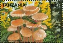 Pilz auf Briefmarke