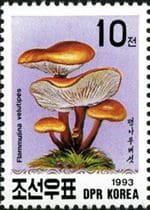 This mushroom on a stamp