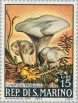 This mushroom on a stamp