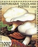 This mushroom on a stamp