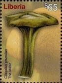 This mushroom on a stamp