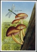 This mushroom on a stamp