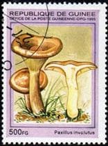 Pilz auf Briefmarke