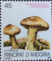 This mushroom on a stamp