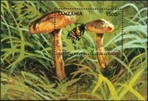 This mushroom on a stamp