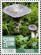Pilz auf Briefmarke