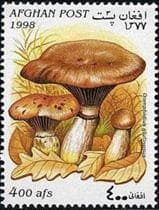 Pilz auf Briefmarke