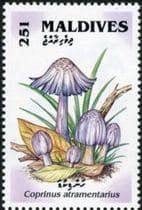 This mushroom on a stamp