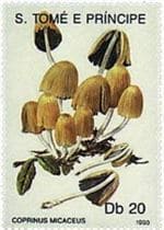 Pilz auf Briefmarke
