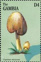 Pilz auf Briefmarke