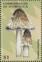Pilz auf Briefmarke