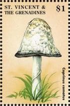 Pilz auf Briefmarke