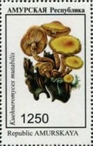 This mushroom on a stamp