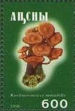 This mushroom on a stamp