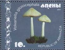 Pilz auf Briefmarke