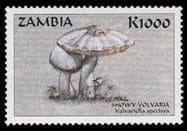 Pilz auf Briefmarke