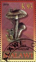 Pilz auf Briefmarke